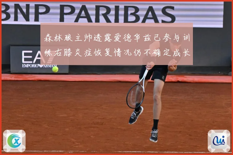 森林狼主帅透露爱德华兹已参与训练右膝炎症恢复情况仍不确定成长观察-深度解析