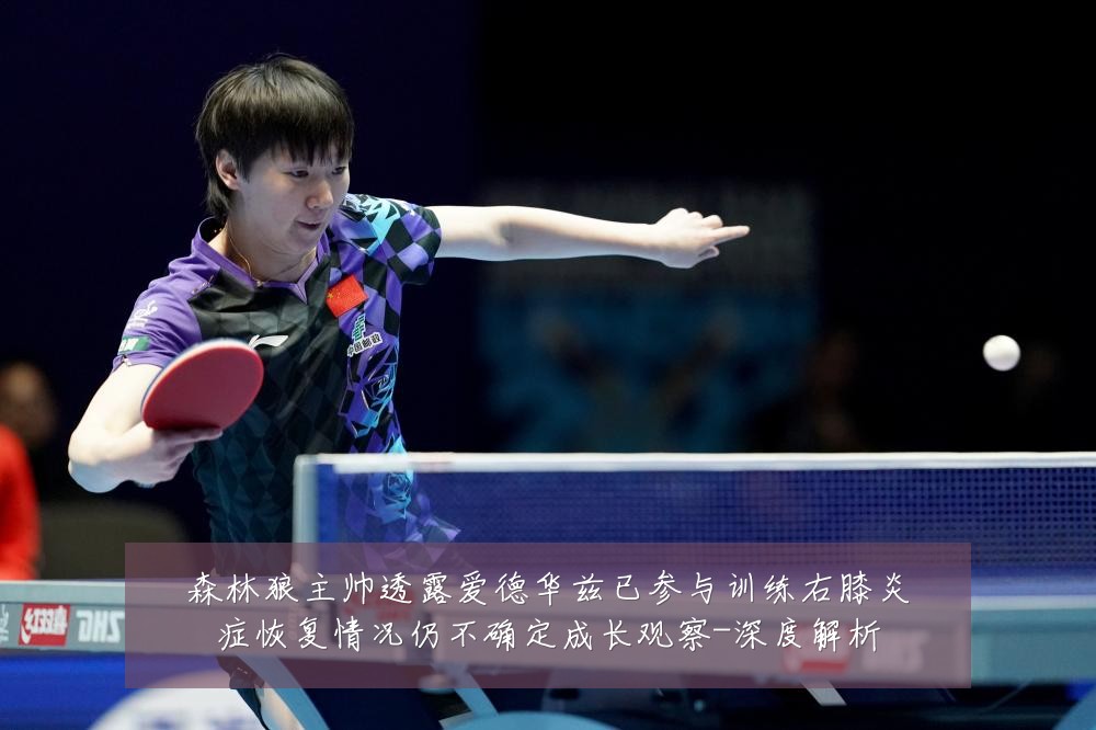 森林狼主帅透露爱德华兹已参与训练右膝炎症恢复情况仍不确定成长观察-深度解析