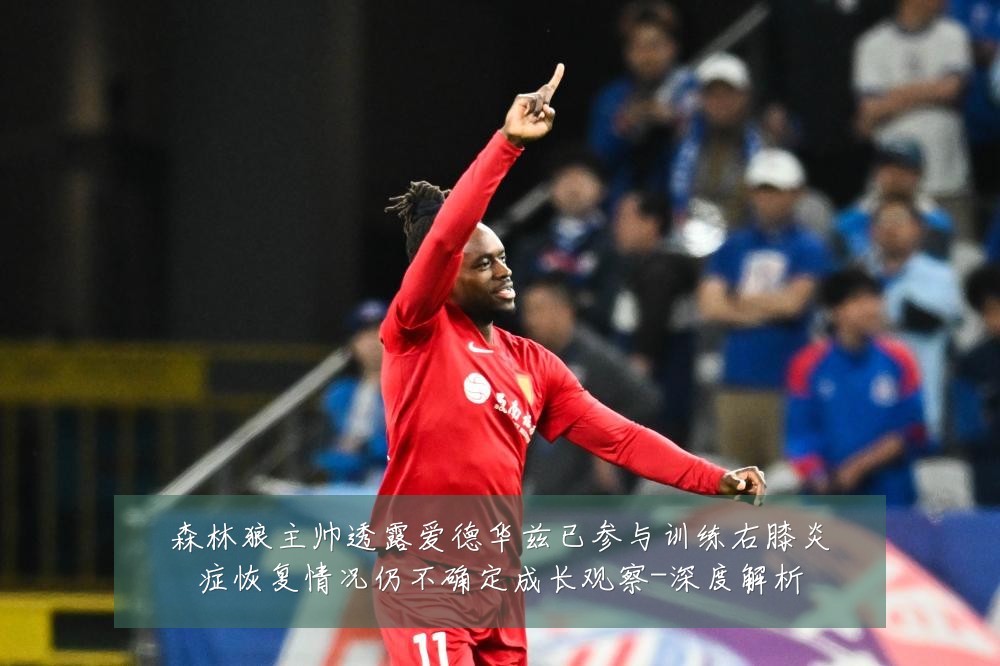 森林狼主帅透露爱德华兹已参与训练右膝炎症恢复情况仍不确定成长观察-深度解析